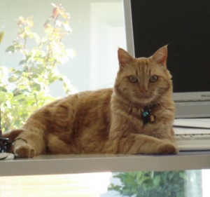 Caramel