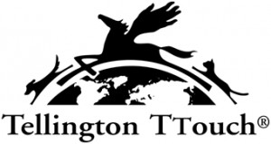Logo-TTT