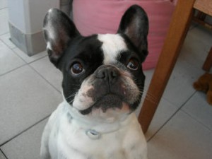agathe