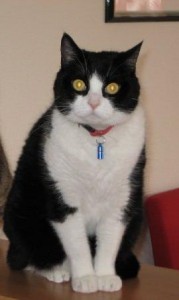 tom
